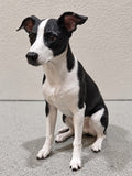 Black and White Dog Memorial