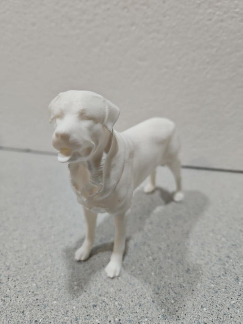 Rottweiler Dog Memorial